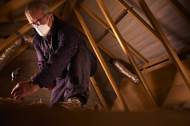 Best Eco-Friendly Insulation in Hanamaulu, HI