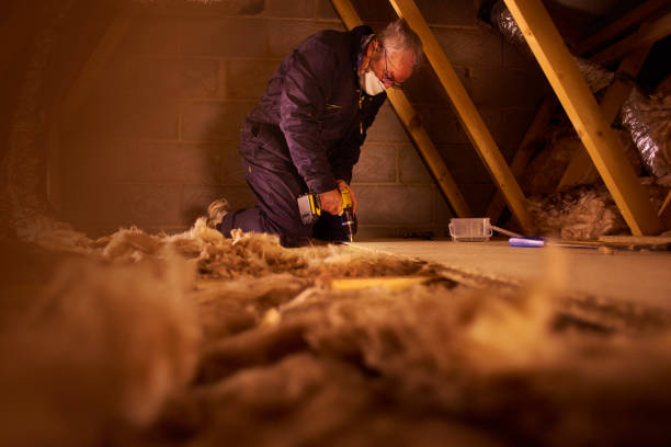 Best Insulation for Specific Applications in Hanamaulu, HI